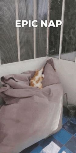 Epic nap .